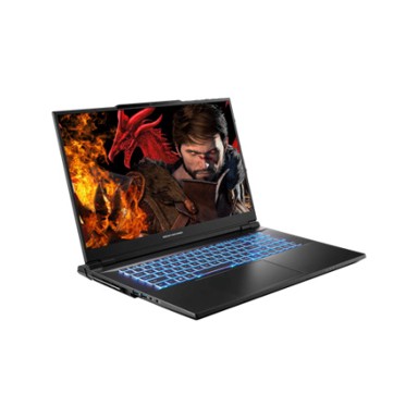 DREAM MACHINES Laptop RX4090-17EU31 / Intel Core i9-14900HX, 17", 2560 x 1600, 32 GB RAM, 1 TB SSD, bez operativnog sustava, crna